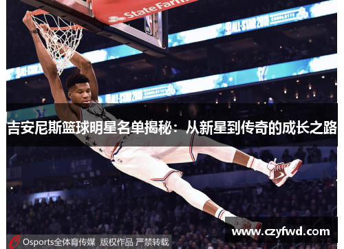 吉安尼斯篮球明星名单揭秘：从新星到传奇的成长之路