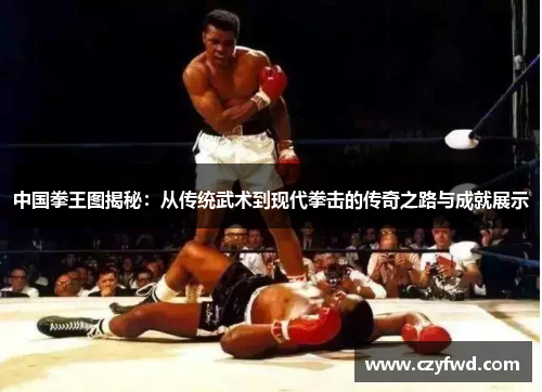 中国拳王图揭秘：从传统武术到现代拳击的传奇之路与成就展示