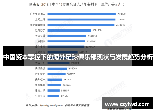 中国资本掌控下的海外足球俱乐部现状与发展趋势分析