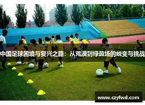 中国足球困境与复兴之路：从荒漠到绿茵场的蜕变与挑战